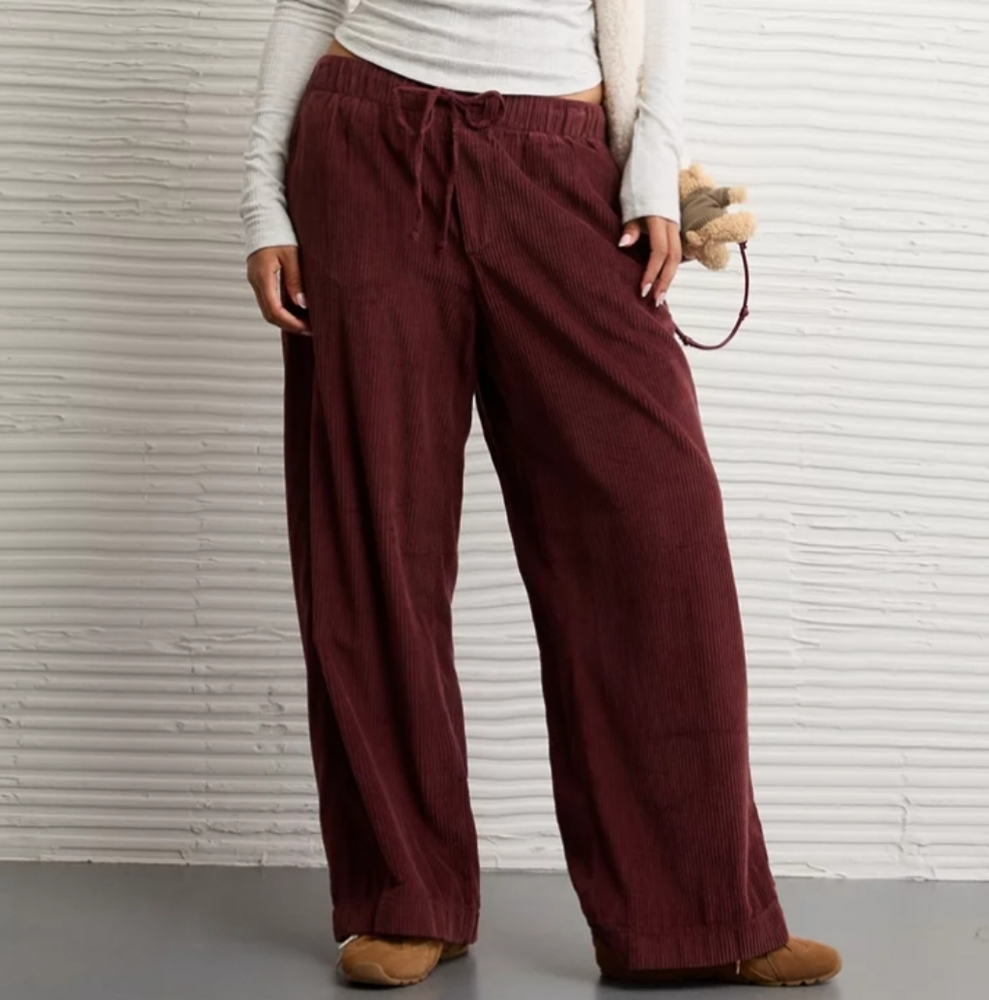 AE Stretch Corduroy Low-Rise Baggy Wide-Leg Pant